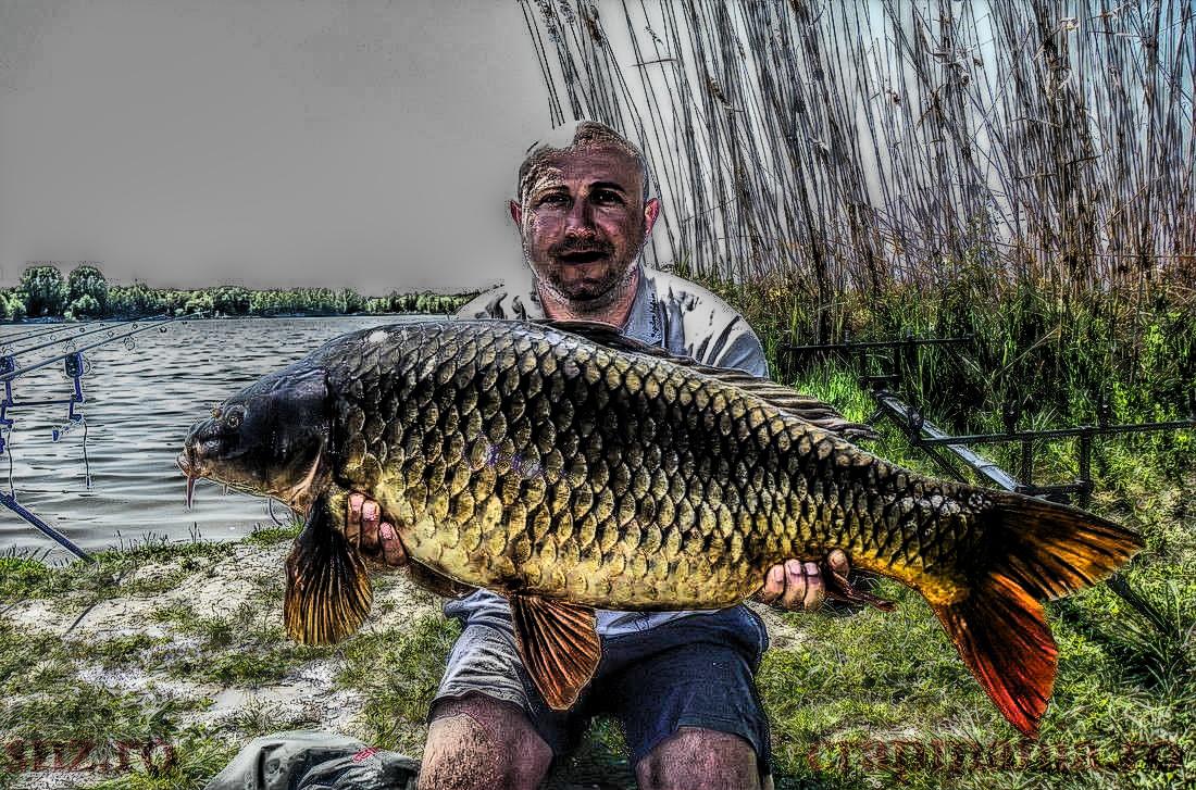 Trofeul Tancabesti - 2013 - 1010172hdrmode2.jpg